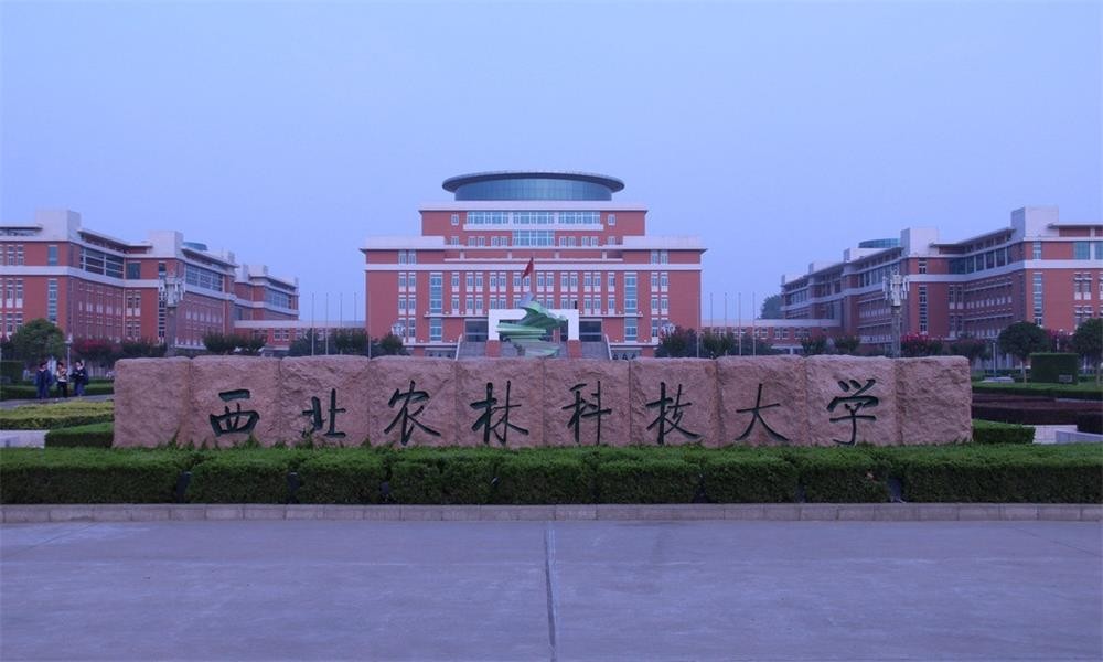 校園