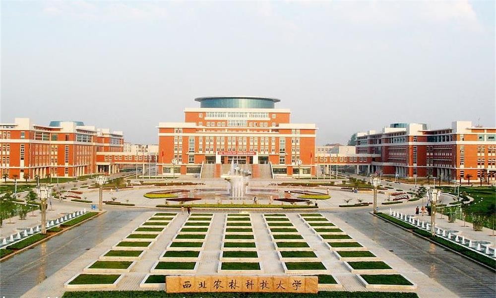 校園