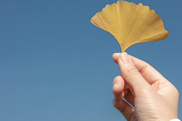 上中國礦業大學在職研究生是不是沒用,有必要考嗎?.jpg 上中國礦業大學在職研究生是不是沒用,有必要考嗎?.jpg